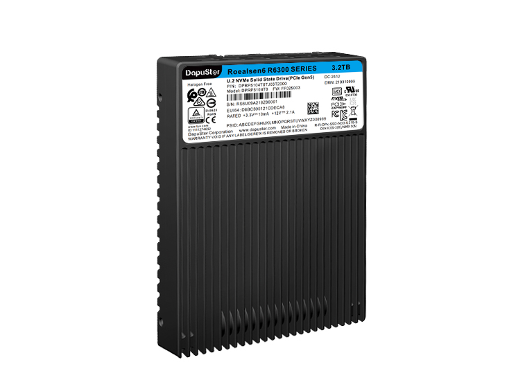 DapuStor®嵘神Roealsen® R630X系列SSD DapuStor®嵘神Roealsen® R630X系列SSD