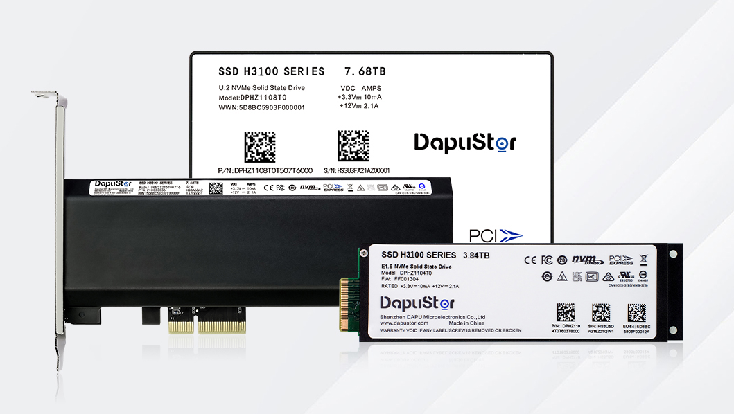 DapuStor®海神Haishen3 H3100系列SSD DapuStor®海神Haishen3 H3100系列SSD